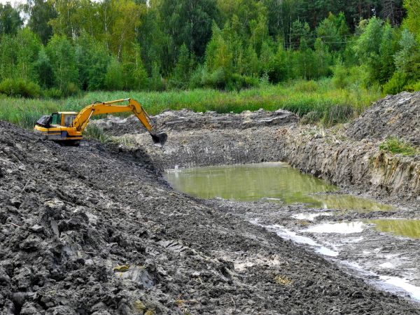 Pond Digging