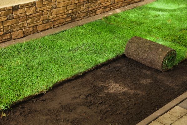 Sod Installation Service