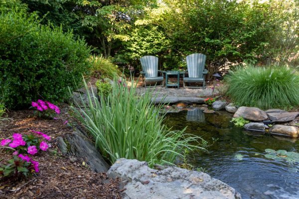 Pond Construction