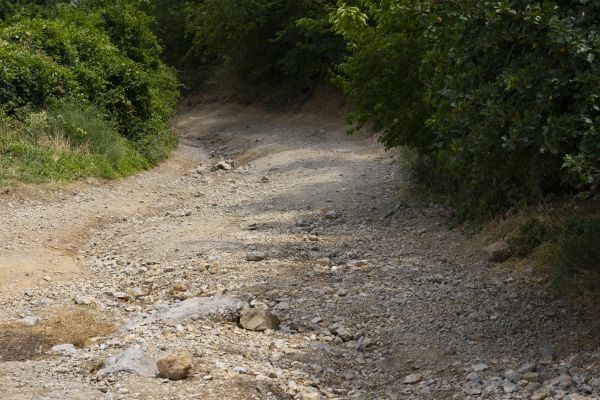 Cost of Gravel Road Pothole Repair in Olympia