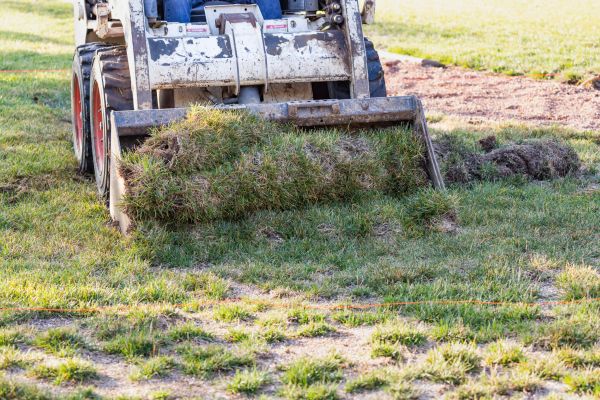 Cost of Landscape Leveling in Olympia