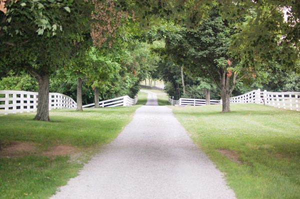Cost of Gravel Road Installation in Olympia