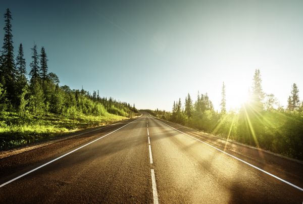 Road Rehabilitation