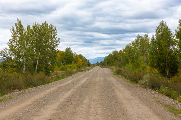 Cost of Dirt Road Repair in Olympia