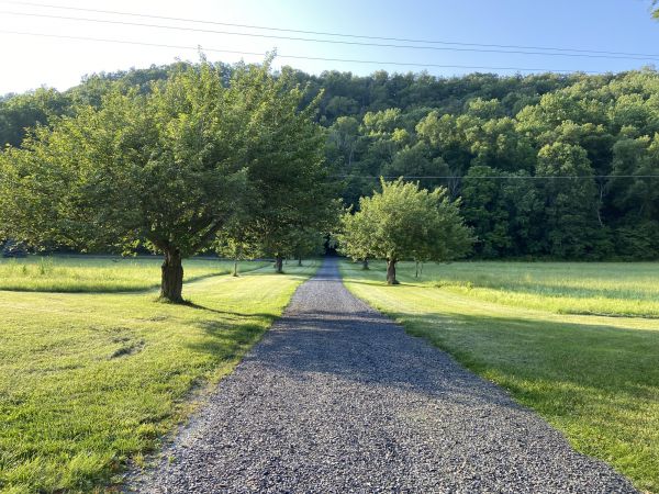 Cost of Gravel Road Construction in Olympia