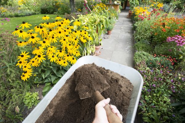 Cost of Soil Spreading in Olympia