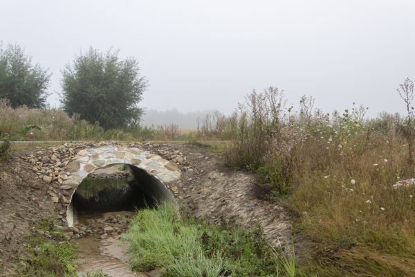 Cost of Culvert Excavation in Olympia