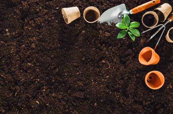 Soil Placement
