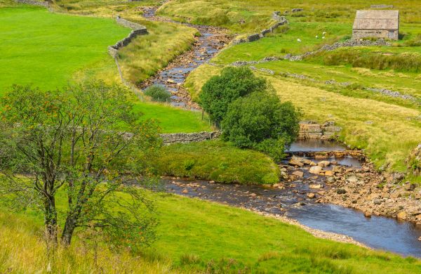 Swale Repair