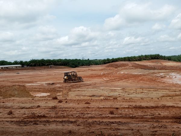 Cost of Land Preparation Service in Olympia