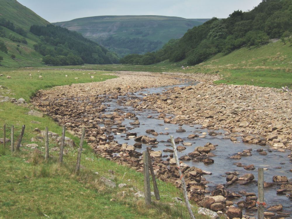 Swale Construction