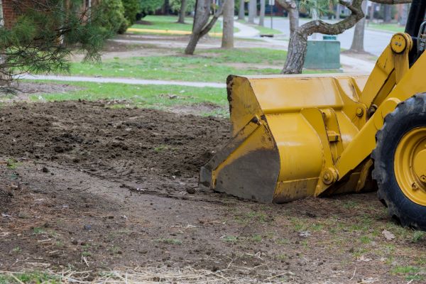 Cost of Lawn Leveling in Olympia