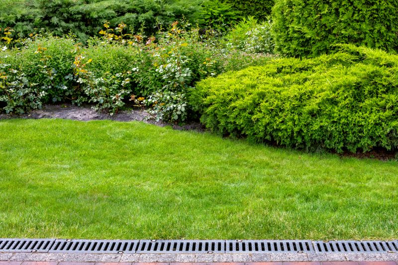 Landscaping and Drainage Solutions
